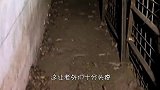 老外将火柴扔进老鼠洞，谁料直接将后院“炸飞”，老鼠：不怪我！