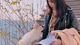 90后的我一个人一座山一只流浪猫，花光所有积蓄投资2000万的民宿，朋友都看我笑话，我该怎么办？