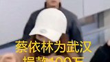 蔡依林为武汉捐款100万