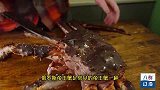 酥炸巨型俄罗斯帝王蟹，快刀分割蟹腿做蟹肉丸！