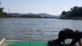 你看不到的地方有的是大鱼
