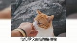 宠物冷知识：为什么会有人怕猫？