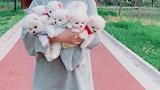 我愿做你的小狗狗，不管你去哪儿我都会跟着你