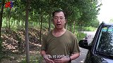 日产逍客华丽蜕变！网友表示：曾经的逍遥客，变成了居家大暖男