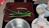 用子姜炒鸡肉，子姜比鸡肉还好吃！当下酒菜是不二的选择