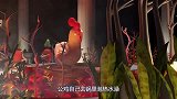 公鸡自己跳进开水锅里，还一脸享受