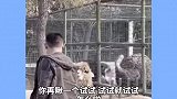 羊驼：这是你自找的