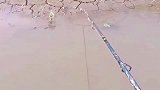 钓鱼趣事：本想着钓鱼的，结果直接从泥巴地里钓上来黄鳝