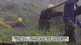 电杆建在农田里：没跟村民事先沟通，一平米补偿几块钱