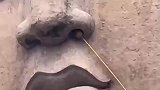 捅马蜂窝神操作，一下就舒服了！