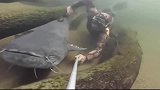 潜水员太厉害了，拿着水下相机潜水拍大鱼