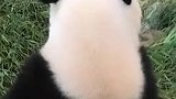 这个背影真是太美了！我看你的背影都看呆了