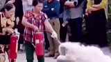 灭火演习中大妈徒手关煤气 网友：你大妈还是你大妈