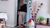 和老婆冷战半个月，她这是啥意思，求高人指点