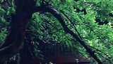 庭院深深深几许，雨来细细复疏疏
