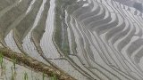 这样的田园生活你会喜欢吗？