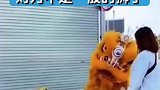 两狮相遇！必有一战