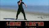 零基础快速入门自学九大肘法完整版#中国功夫