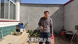 年后婆婆和小凯不给红包，平平替孩子要压岁钱，看小凯啥态度