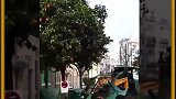 国外先进的全自动摘果实机器