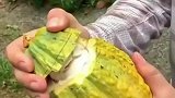 水果竟然还可以这样吃