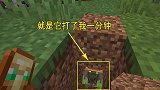 我的世界联机42：为救一个村民挨了1分钟毒打，结果还悲剧了