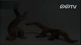 数码-恐龙与古代人类生活在一起