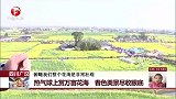 四川广汉 热气球上赏万亩花海 春色美景尽收眼底