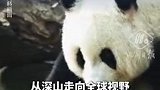 “美丽中国行“之探访国家公园集中采访活动：新华社记者黄垚：人与自然和谐共生