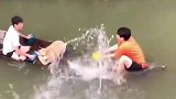 我这船呀是出了名的快