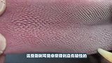 为什么大猫喜欢用舌头“梳理”自己的毛发，人被舔一口会怎样