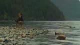 流浪狗收养了一只流浪猫，长大之后才发现，原来它是美洲狮
