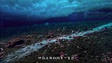 海洋里的“死亡冰柱”，从海面直入海底，所到之处动物无一生还！