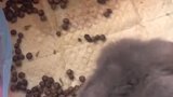 我是不是很会废物利用