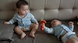 萌娃：双胞胎儿子来到我家后，家里就没有安静的时候了