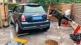 买辆车真不容易，平常进出还需要用到推车