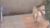 狗狗发现一只快饿晕的流浪猫，于是把刚捡到的肉包子给了猫咪