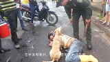 小女孩不慎溺水，危急时刻狗狗将其救起，镜头记录感人的一幕