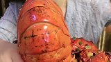 看这么大的壳就知道里面有多少肉了