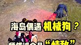 海岛偶遇机械狗被师傅误会