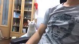 猫咪要吃点心，主人：你先去运动完再说！