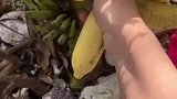 女子出来旅游，回去还不忘给男友带上地方特产