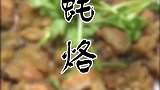 来聊聊潮汕蚝烙跟福建海蛎煎的区别吧
