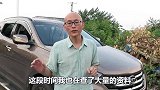 小伙开车撞死狗，没有报警便驾车离开了，结果肠子都悔青了