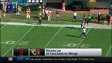 NFL-1617赛季-常规赛-第14周-本周五佳接球集锦-专题