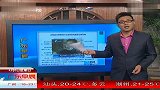 河南漯河持枪殴打记者房管局副局长被刑拘 120408 广东早晨