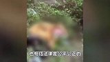 重庆姐弟坠亡案二审5月11日开庭宣判，孩子外婆：希望维持死刑原判