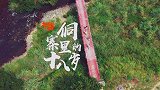 大山里的“七仙女”直播抓鱼田埂走红，上百万粉丝围观