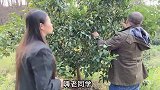 你们见过这样借车的吗防不胜防啊，我真是无语了！