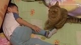 宝宝趴在床上哭，猫咪一个动作把宝宝逗笑，太暖心了